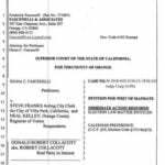 Villa Park City Council Member Sues Own City