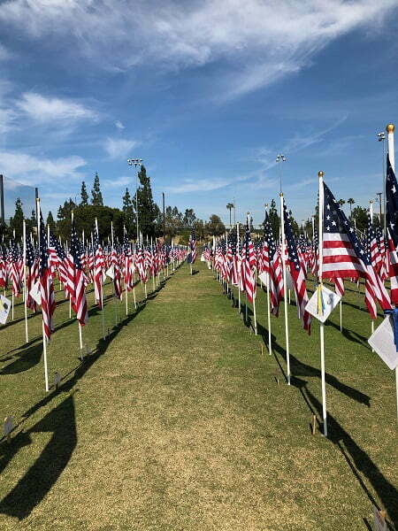 Field of Valor Lineup of American Flags