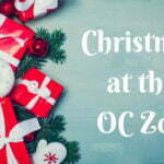 Christmas At The OC Zoo
